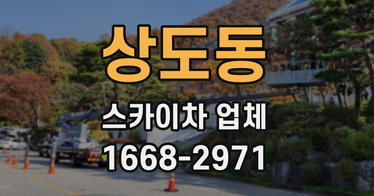 상도동 스카이차 업체