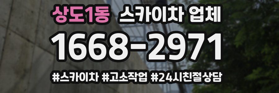 상도1동 스카이차 업체