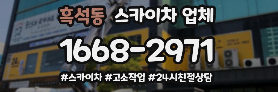 흑석동 스카이차 업체