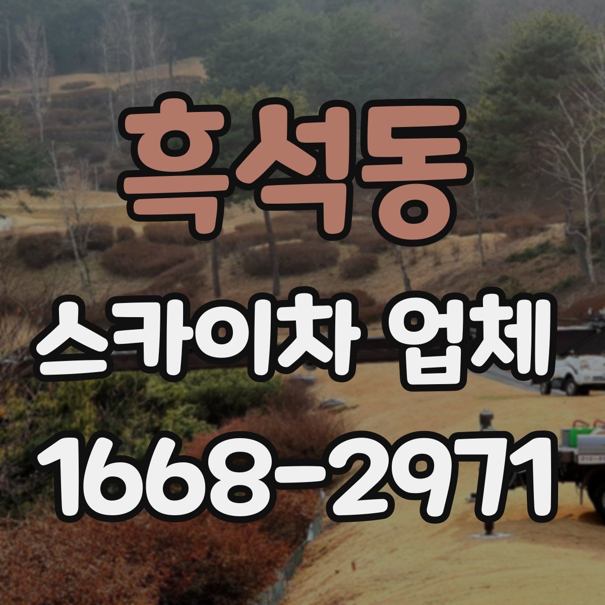 흑석동 스카이차 업체