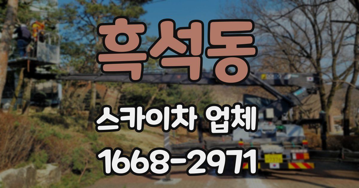 흑석동 스카이차 업체