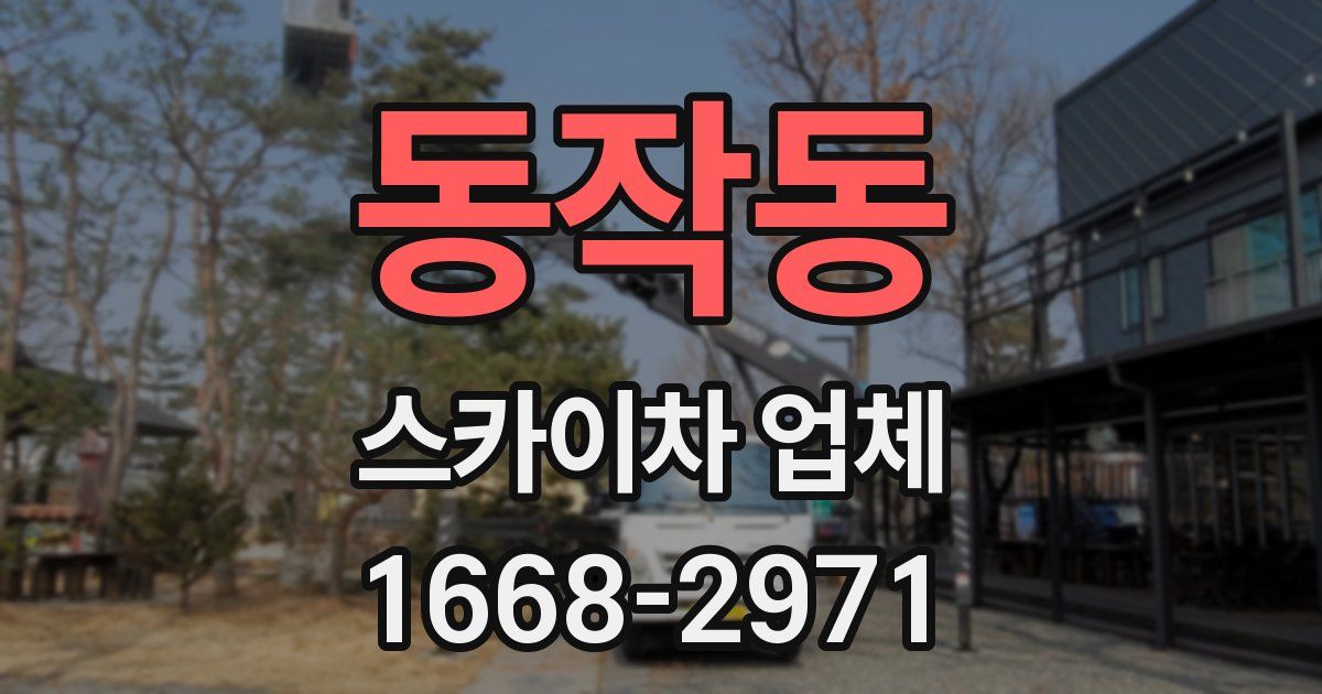 동작동 스카이차 업체