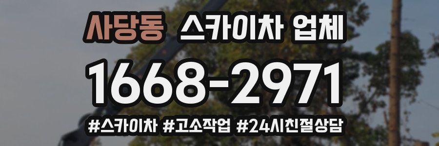 사당동 스카이차 업체