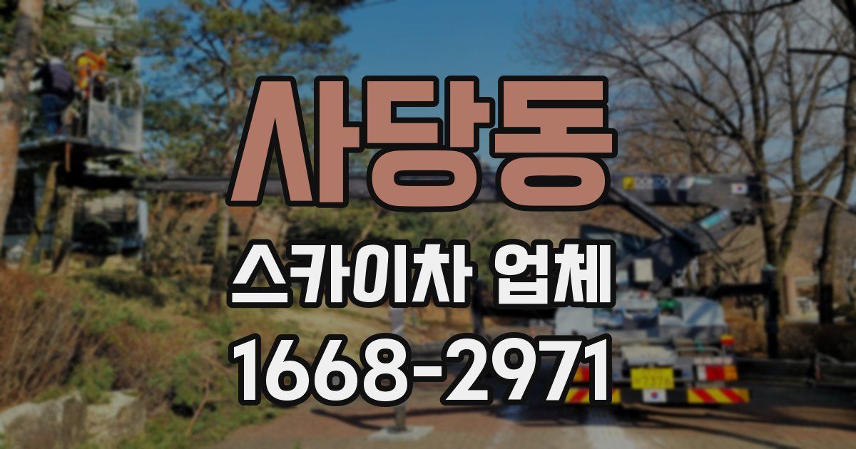 사당동 스카이차 업체