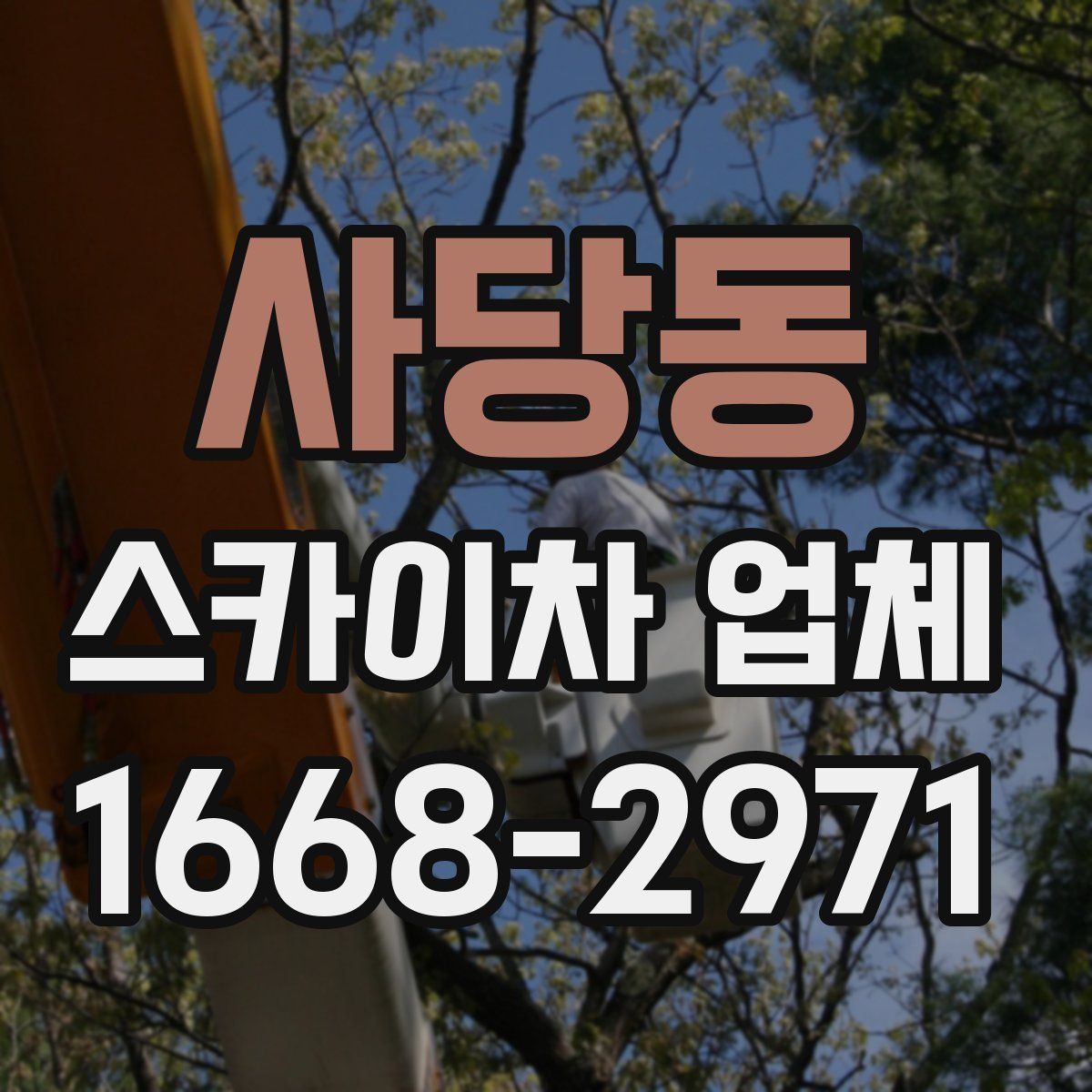 사당동 스카이차 업체