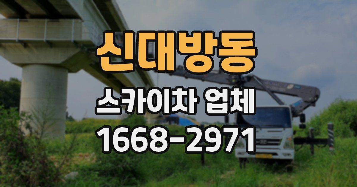신대방동 스카이차 업체
