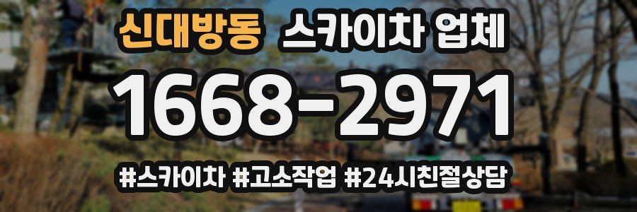신대방동 스카이차 업체