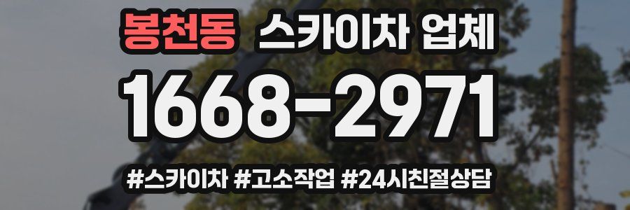 봉천동 스카이차 업체
