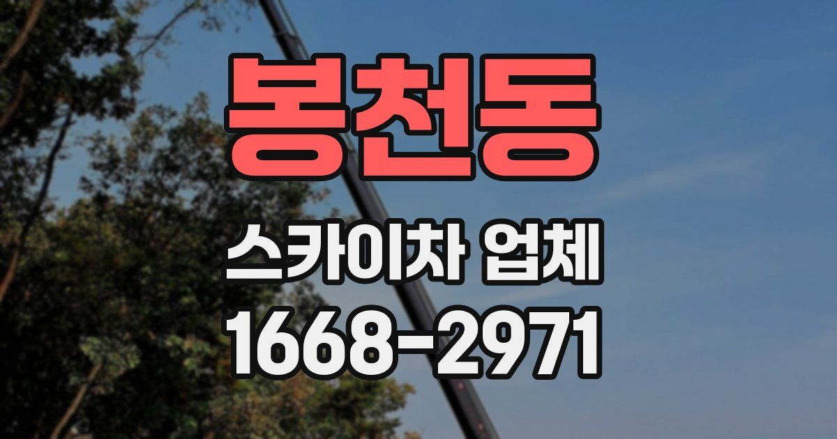 봉천동 스카이차 업체