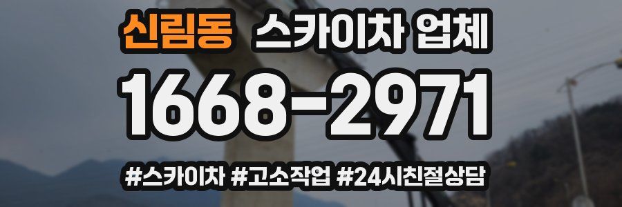 신림동 스카이차 업체