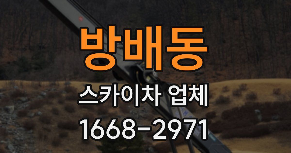 방배동 스카이차 업체