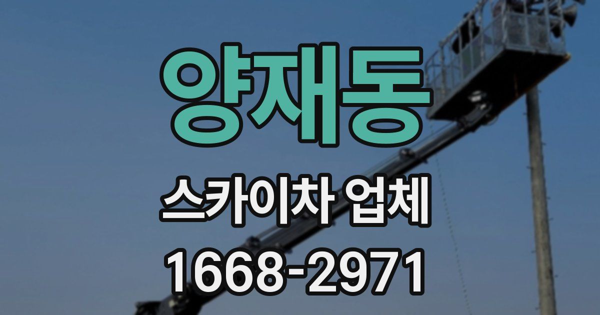 양재동 스카이차 업체