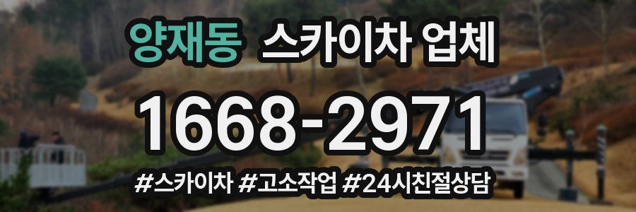 양재동 스카이차 업체