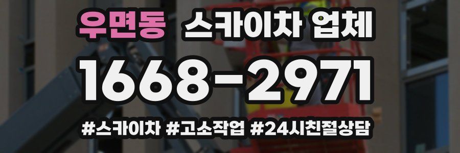 우면동 스카이차 업체