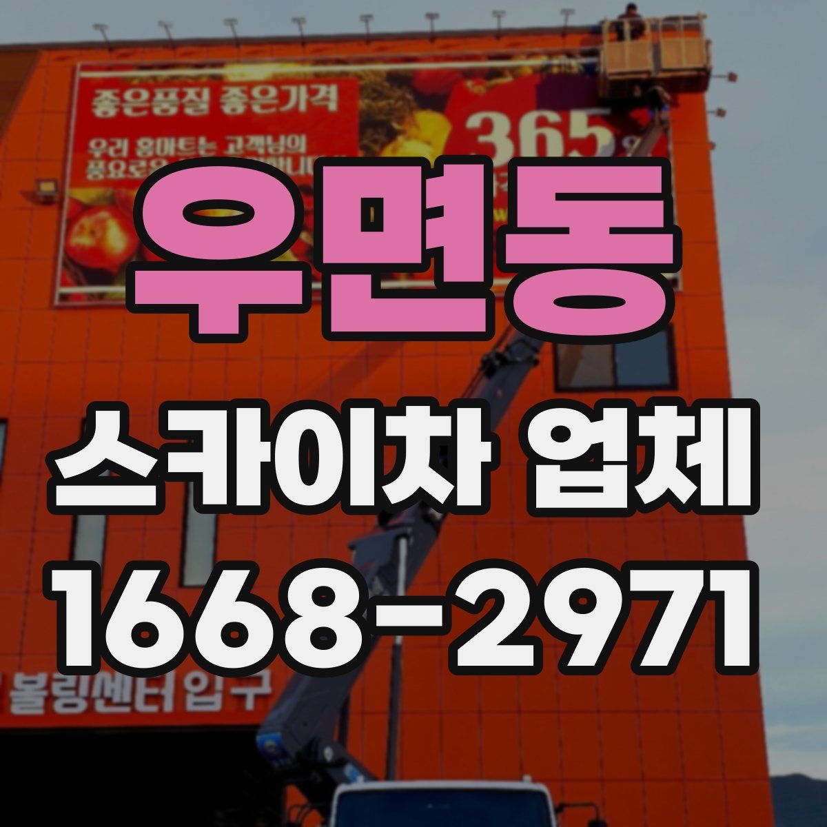 우면동 스카이차 업체