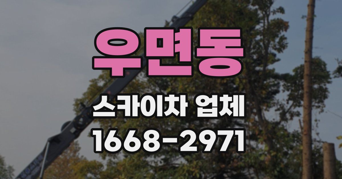 우면동 스카이차 업체