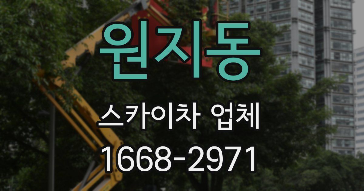 원지동 스카이차 업체