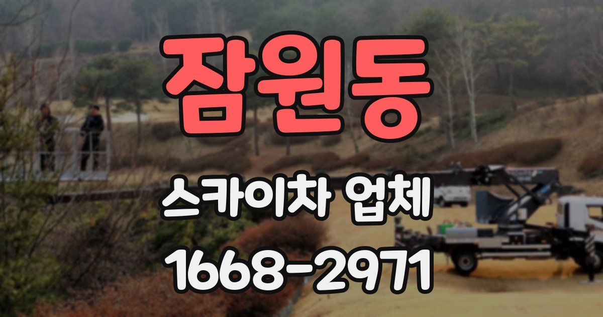 잠원동 스카이차 업체