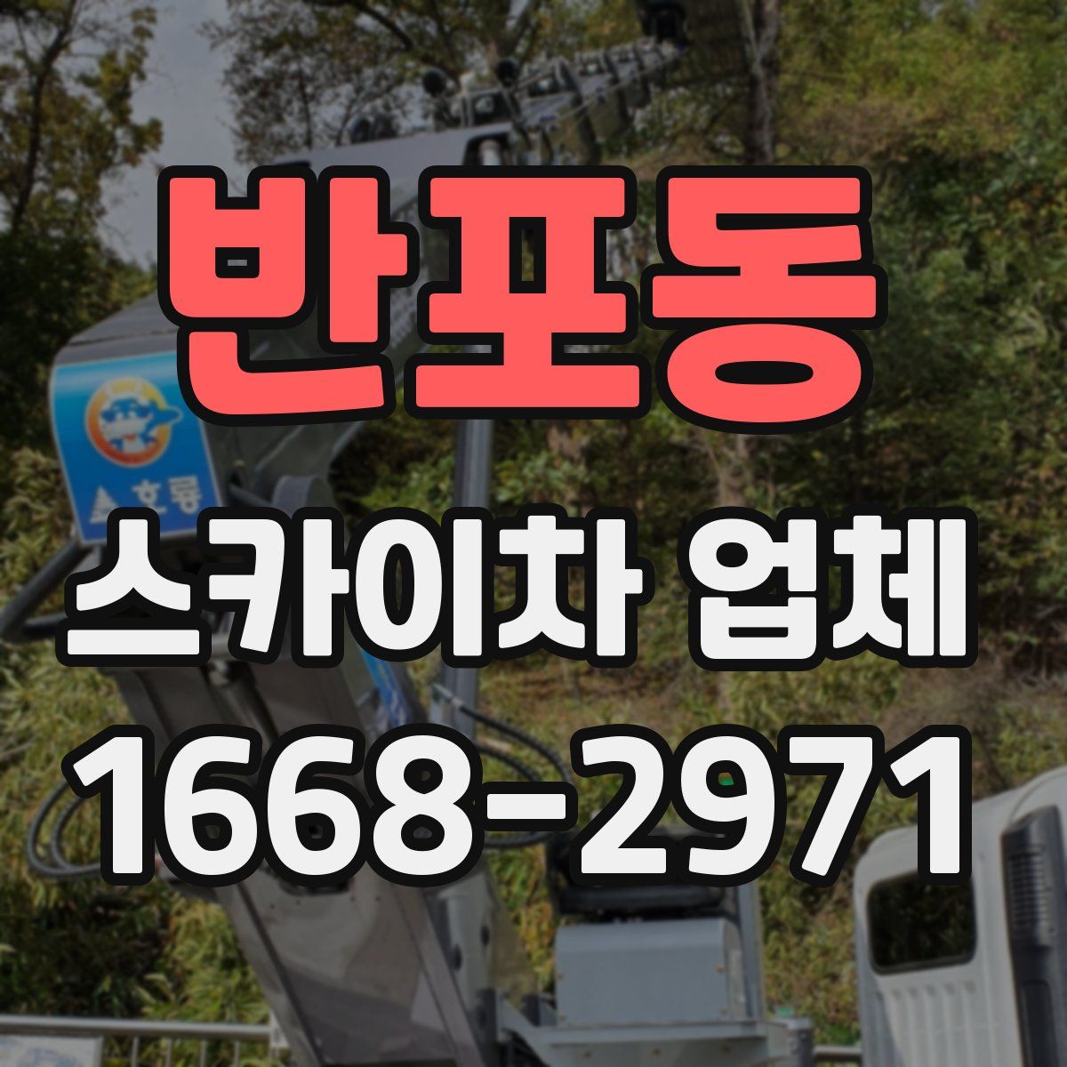 반포동 스카이차 업체