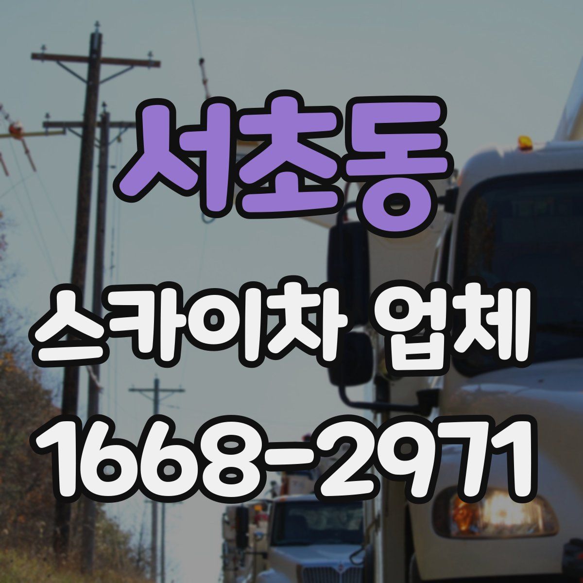 서초동 스카이차 업체