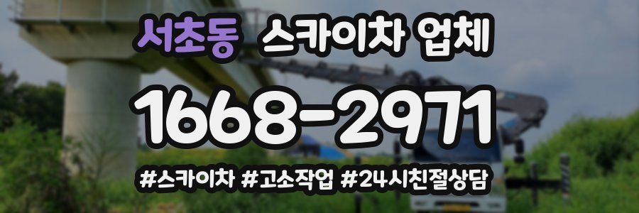 서초동 스카이차 업체