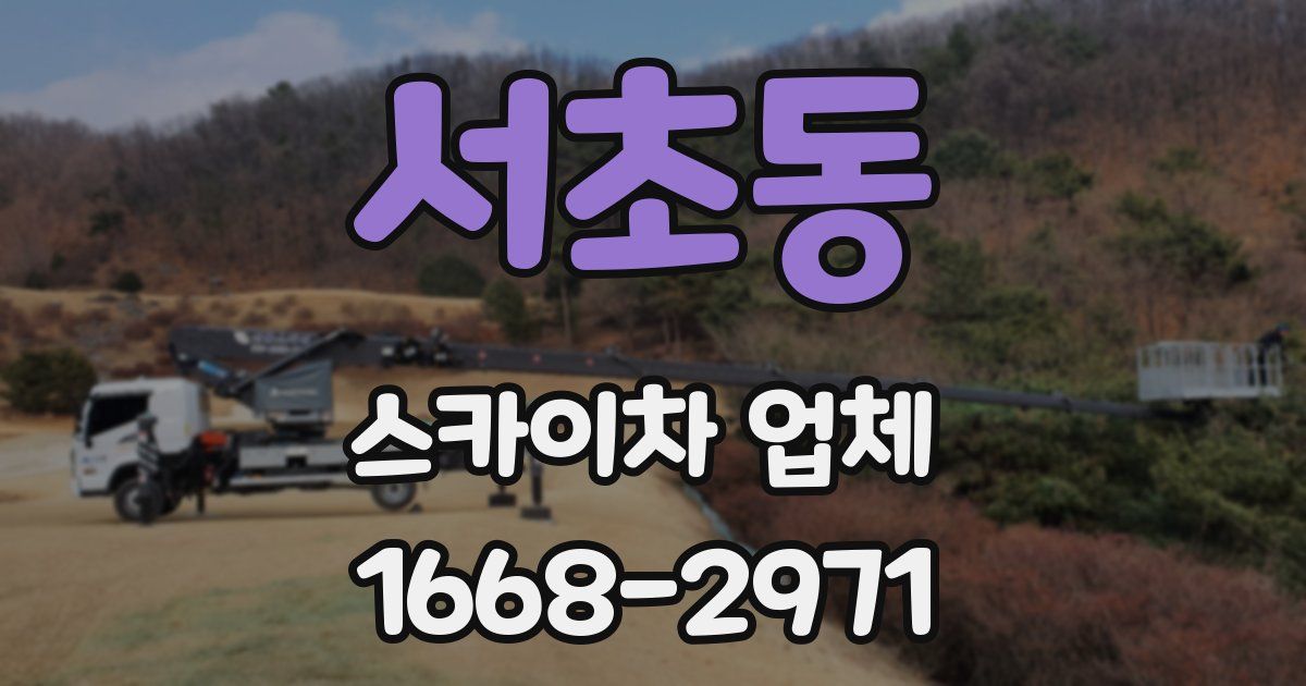 서초동 스카이차 업체