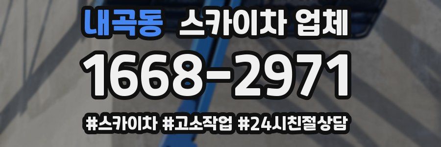 내곡동 스카이차 업체