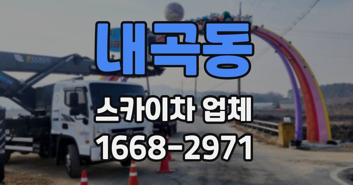 내곡동 스카이차 업체