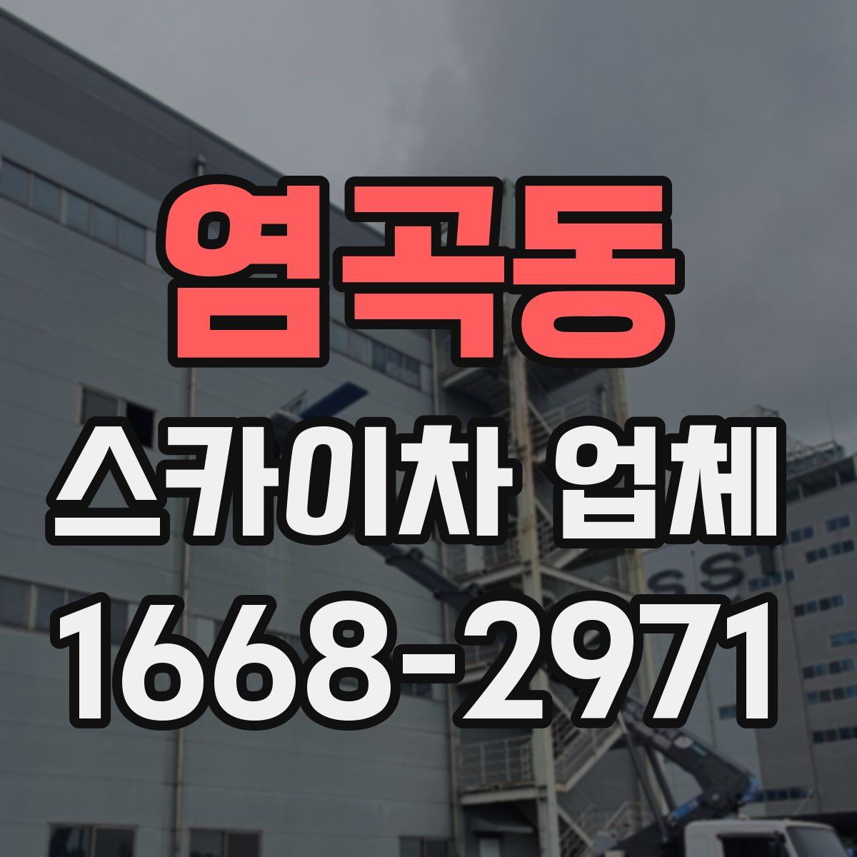 염곡동 스카이차 업체