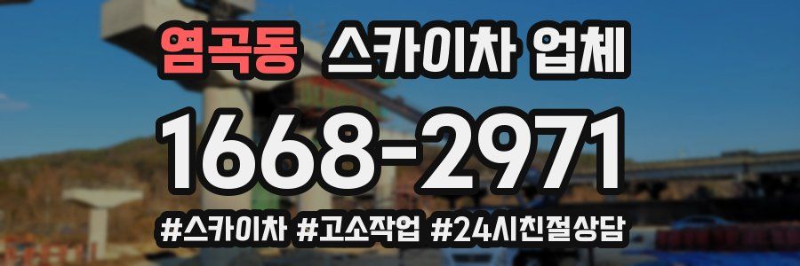 염곡동 스카이차 업체