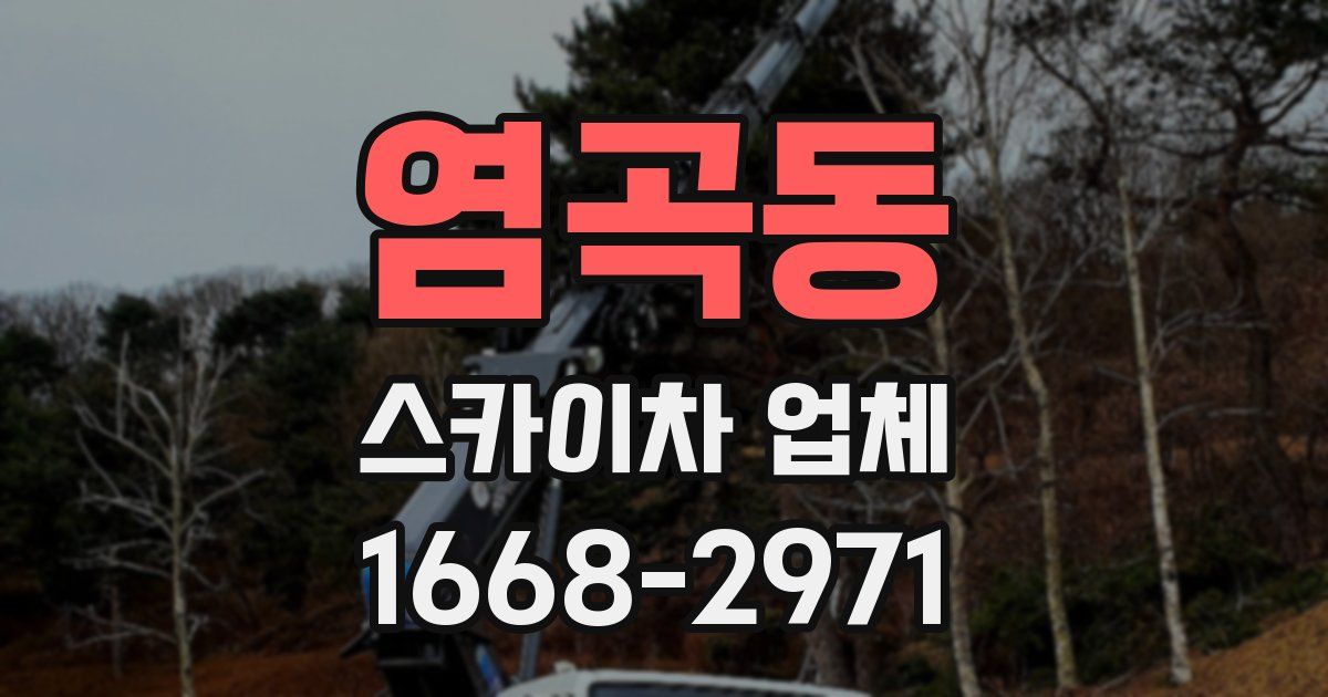 염곡동 스카이차 업체