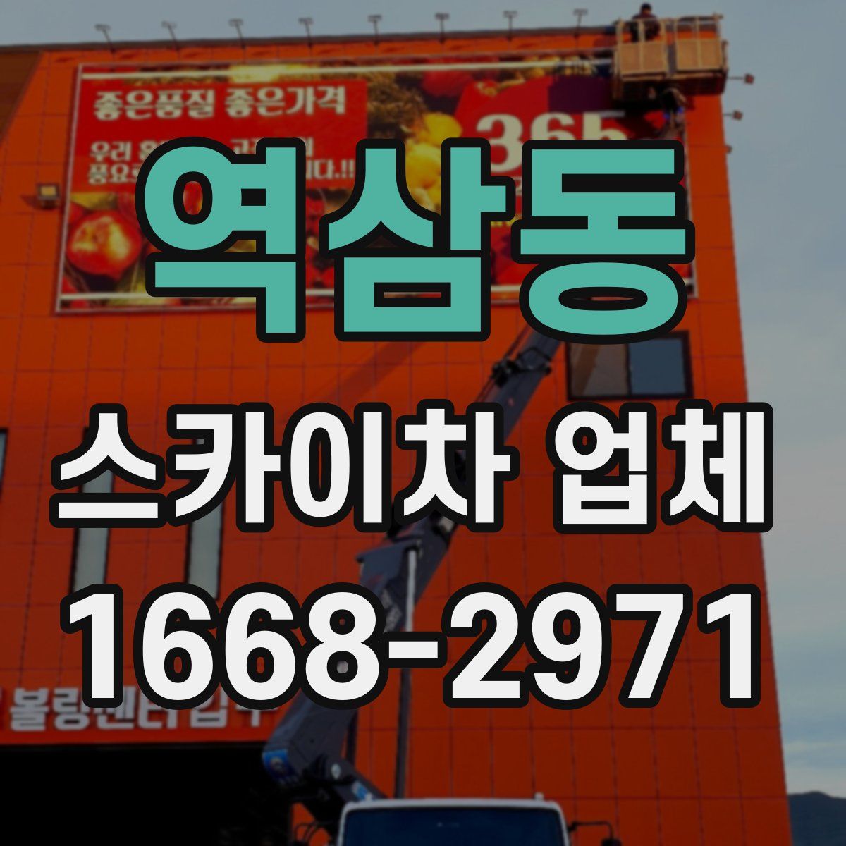 역삼동 스카이차 업체