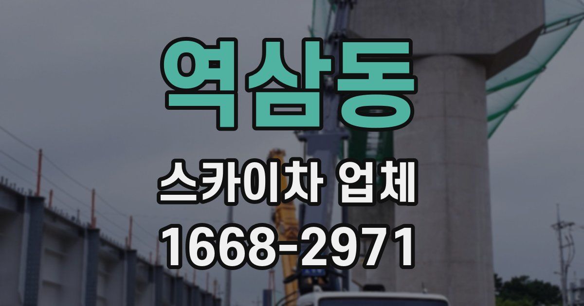 역삼동 스카이차 업체