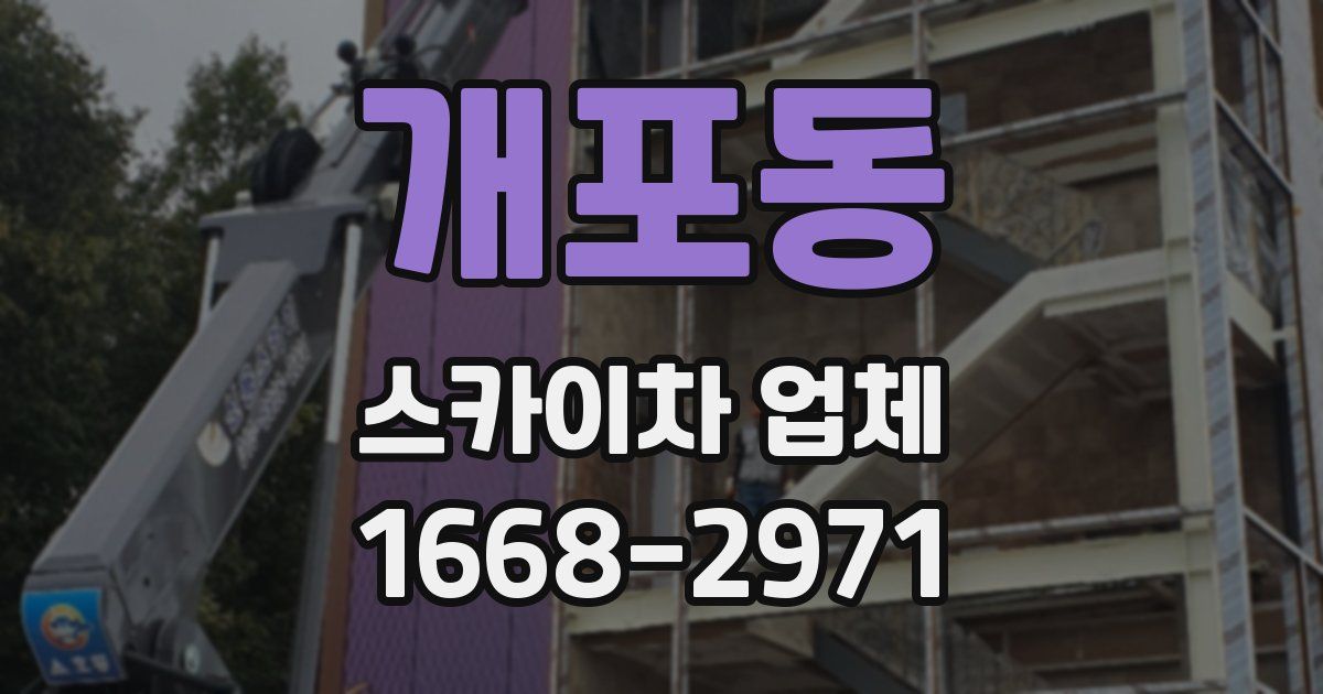 개포동 스카이차 업체