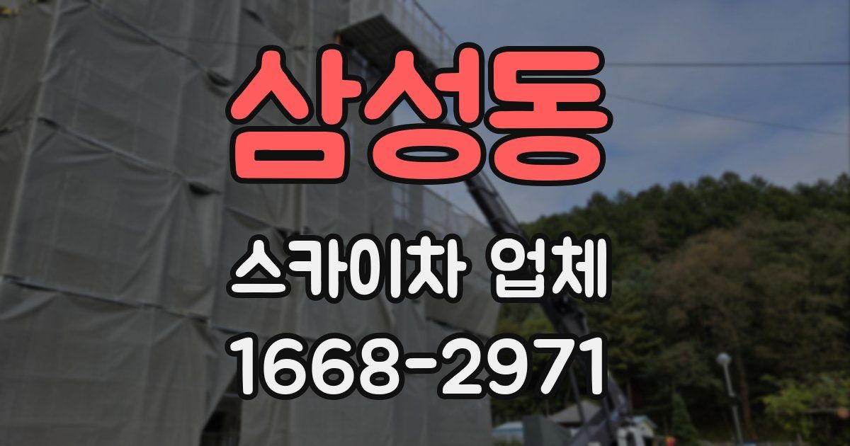 삼성동 스카이차 업체