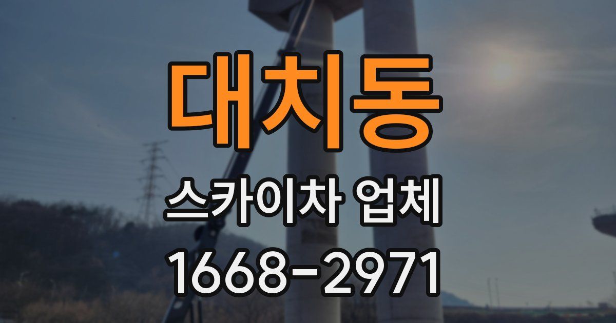 대치동 스카이차 업체