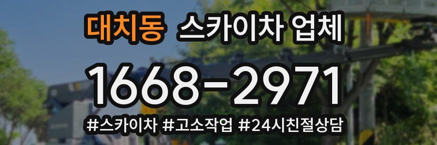 대치동 스카이차 업체