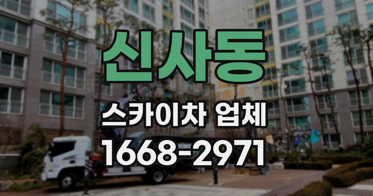 신사동 스카이차 업체