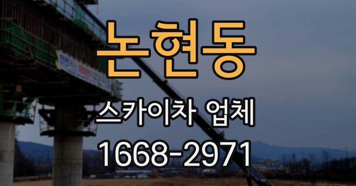 논현동 스카이차 업체