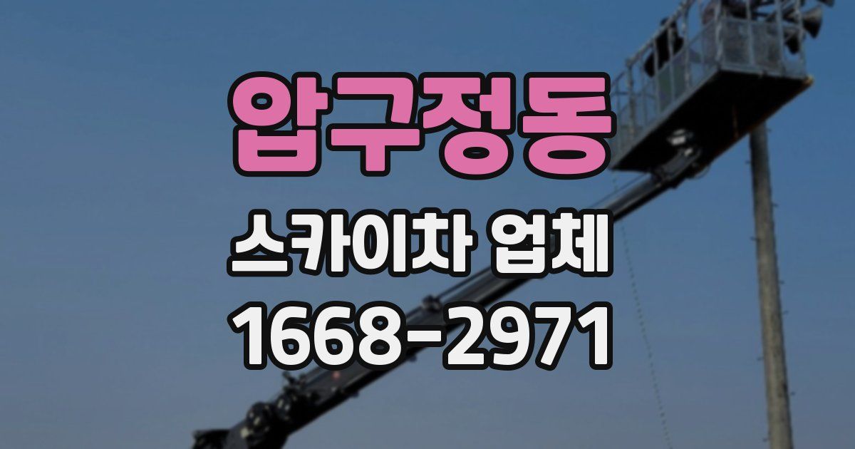 압구정동 스카이차 업체