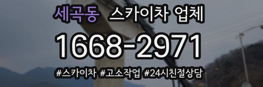 세곡동 스카이차 업체