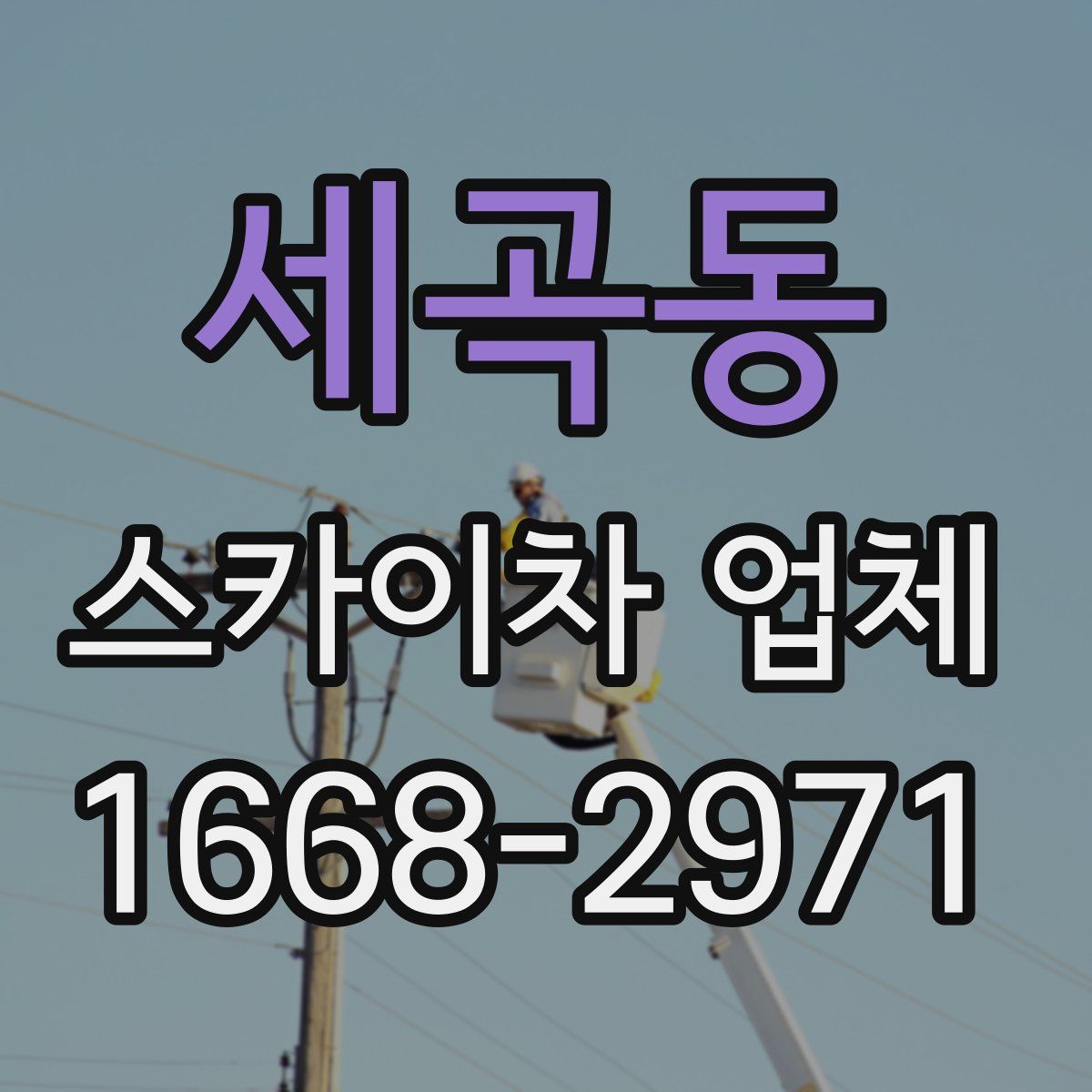세곡동 스카이차 업체