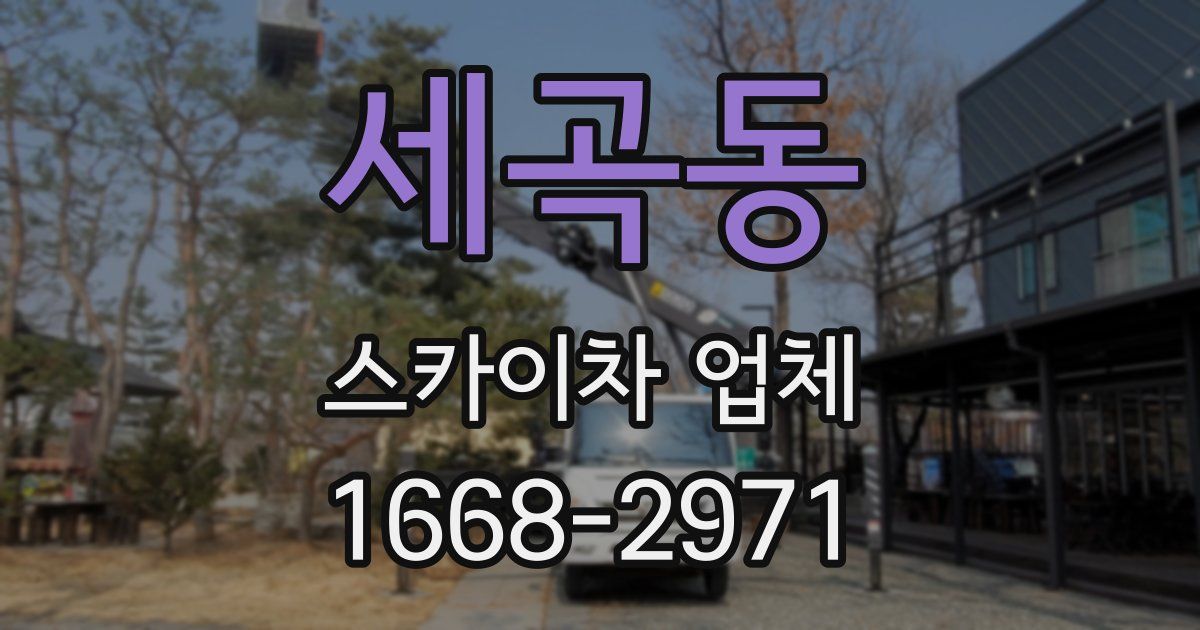 세곡동 스카이차 업체
