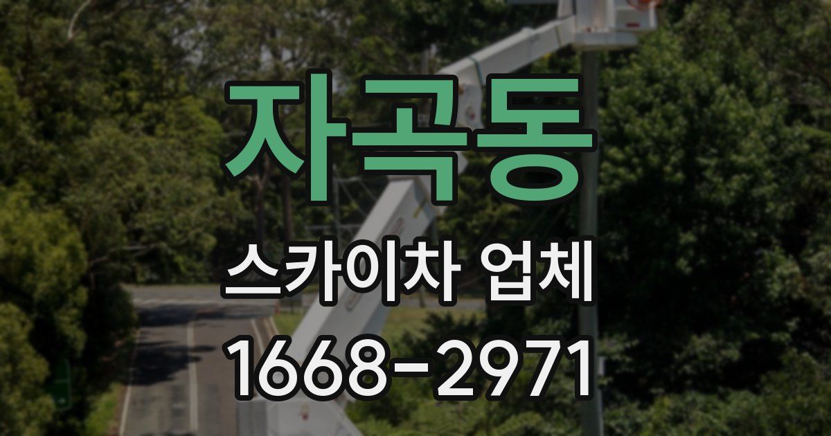 자곡동 스카이차 업체