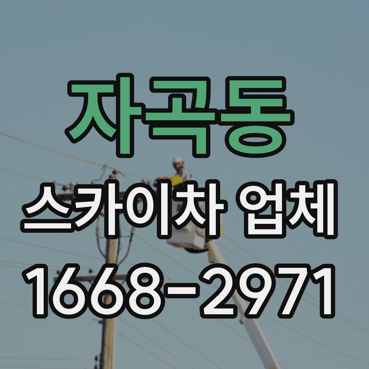 자곡동 스카이차 업체