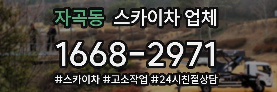 자곡동 스카이차 업체