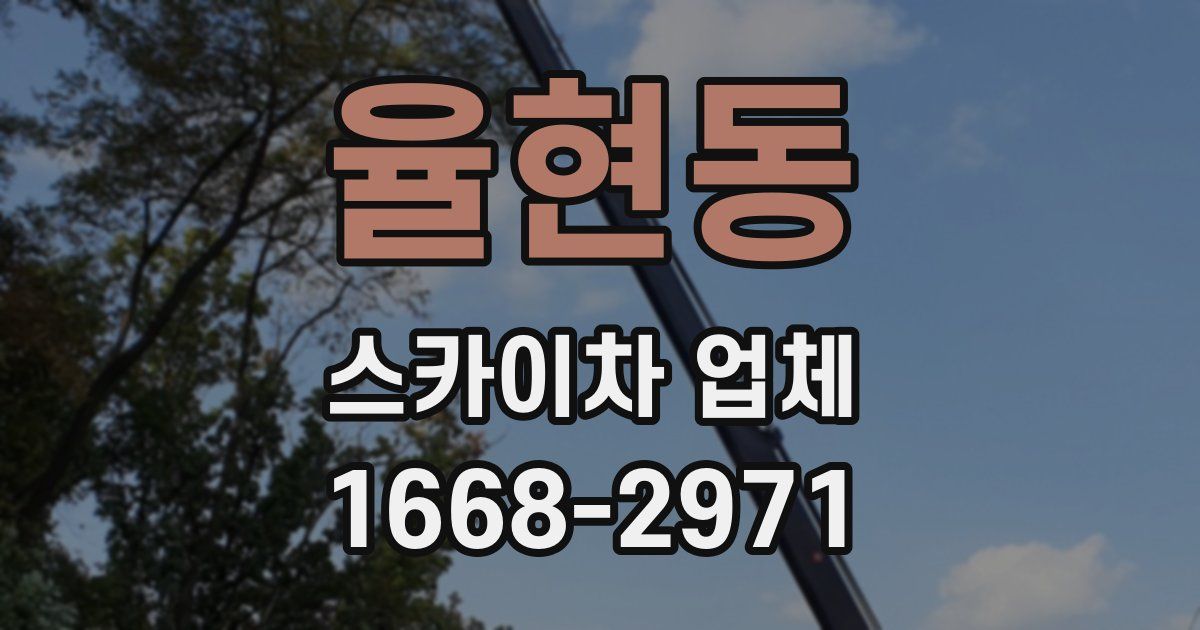 율현동 스카이차 업체