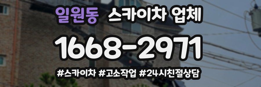 일원동 스카이차 업체