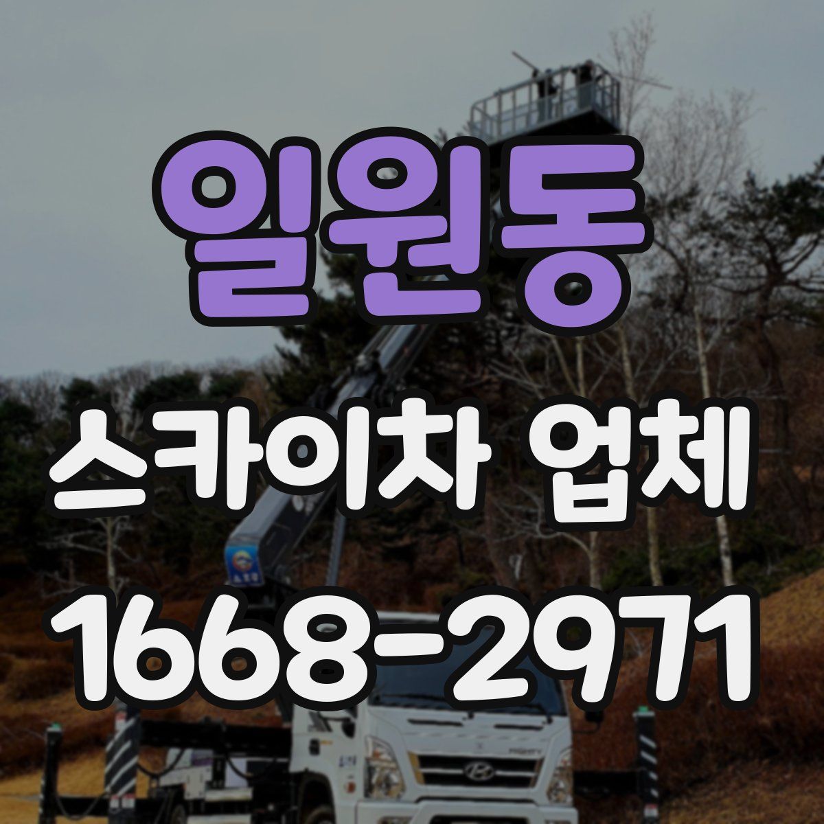 일원동 스카이차 업체