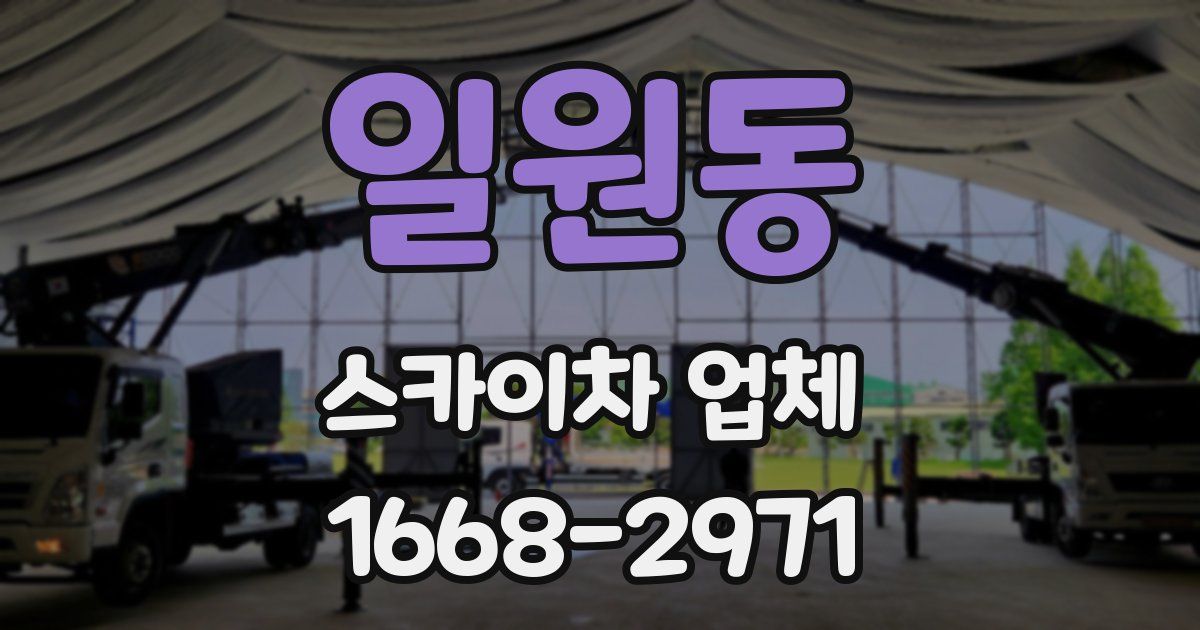 일원동 스카이차 업체